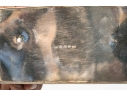 Collection Of Five Vintage Silverplate Humidors
