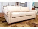 Carlyle Steelweave Sleeper Sofa