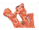 Vintage Natural Red Branch Coral Specimen 