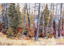 William L. Drake (Am., NJ, 1929-2019) Watercolor On Paper, Deer Lake, Ontario