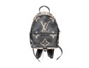 Louis Vuitton Giant Jungle Palm Springs Pm Backpack