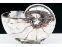 Antique English Victorian Silverplate Nautilus Spoon Warmer
