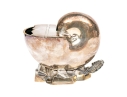 Antique English Victorian Nautilus Spoon Warmer