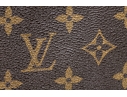 Louis Vuitton Brown Monogram Small Leather Zip Folio Pouch