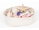 Basket Of Good Sized Polished Specimen Sea Shells 