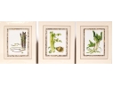 Set Of Fifteen Decorative Vegetable And Fruit Prints, 20th C. 
