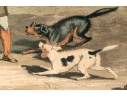 Two English 19th Century Color Prints