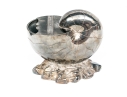 Antique English Silverplate Nautilus Spoon Warmer