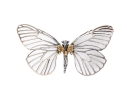 Sterling Silver And 18k Yellow Gold Striking Large Pierced Butterfly Brooch