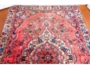 Hand-knotted Wool Carpet, 9'-8 1/2