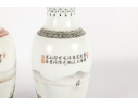 Pair Of Chinese Porcelain Vases