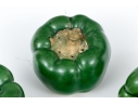 Four Naturalistic Glazed Ceramic Green Pepper Form Casters
