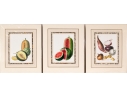 Set Of Fifteen Decorative Vegetable And Fruit Prints, 20th C. 
