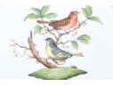 Herend Hungary Hand-Painted Porcelain Dessert Plate,  Rothschild Bird (RO) Pattern