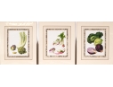 Set Of Fifteen Decorative Vegetable And Fruit Prints, 20th C. 