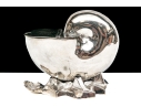 Antique English Victorian Silverplate Nautilus Spoon Warmer