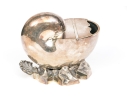 Antique English Victorian Nautilus Spoon Warmer