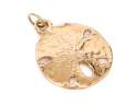 14k Yellow Gold Charming Sand Dollar Motif Pendant