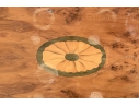 Antique Marquetry And Satinwood Banded Twin Handled Oval Tray