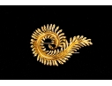 Tiffany & Co. 18k Yellow Gold Schlumberger Magnificent Stylized Furling Feather Brooch