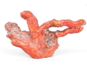 Vintage Natural Red Coral Specimen