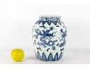 Chinese Blue And White Porcelain Dragon Jar With Xuande Mark