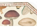 John Derian & Co. Melamine Serving Set