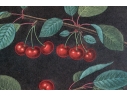 After George Brookshaw (British, 1751-1823) Prints Of Drupes