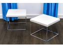 Pair Of Bizhan Home 