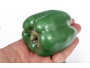 Four Naturalistic Glazed Ceramic Green Pepper Form Casters