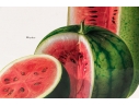 Set Of Fifteen Decorative Vegetable And Fruit Prints, 20th C. 