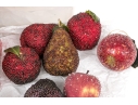 Collection Of Twenty-three Holiday Table Top And Ornaments
