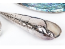 Group Of Six Fine Decorative Silver Clad Shells With Ruzzetti Italy