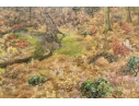 Ben Foster (American, 1852-1926) 