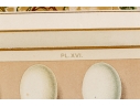 Set Of Six English Color Prints Of Bird Eggs