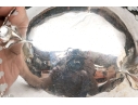 Compatible Pair Of Antique Sterling Silver And Silverplate With White Opaline Glass Baskets