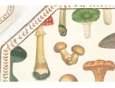 John Derian & Co. Melamine Serving Set