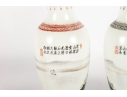 Pair Of Chinese Porcelain Vases