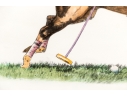Francisque Rebour (French, 1890-1930) Lithograph, Polo Player
