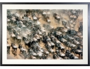 Photographic Print, African Wildebeest Migration