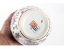 Chinese Hand-Painted Enamel Porcelain Ginger Jar