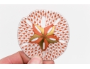 Herend Hungary Hand-Painted Porcelain Sand Dollar, Rust Fishnet Pattern