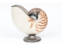 Nautilus Shell Specmin With Pewter Footed Base