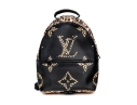 Louis Vuitton Giant Jungle Palm Springs Pm Backpack