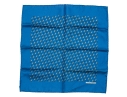 Hermès Fun Blue And Grey Frog Motif Silk Pocket Square/ Neck Scarf