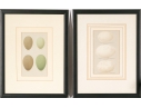 Pair Of Vintage Prints With Eggs, 20th C. 
