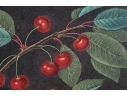 After George Brookshaw (British, 1751-1823) Prints Of Drupes