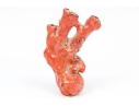 Vintage Natural Red Branch Coral Specimen 