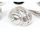 Group Of Six Fine Decorative Silver Clad Shells With Ruzzetti Italy