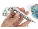 Group Of Six Fine Decorative Silver Clad Shells With Ruzzetti Italy